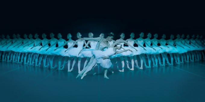 Shanghai Ballet: Grand Swan Lake